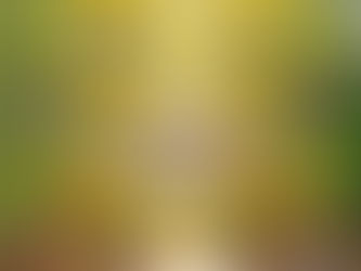 FAREM – Matagalpa inaugura la Plaza 23 de Julio y el monumento dedicado al Dr. Mariano Fiallos Gil.