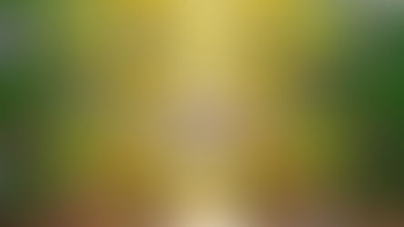 FAREM – Matagalpa inaugura la Plaza 23 de Julio y el monumento dedicado al Dr. Mariano Fiallos Gil.