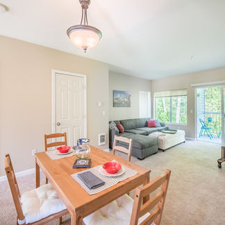 Fun Light Filled Auburn Condo