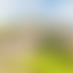 Spacious 2 Story in Federal Way, 4 bed, 2.5 bath, 2,890 Square Feet