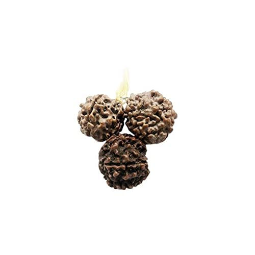Thumbnail: Vrindavan Handicrafts - Authentic Rudraksha Mala 2+1 Beads
