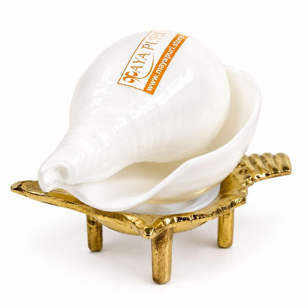 Thumbnail: Original Non-Blowing 3" Shankh with Brass Sankh Stand 120g