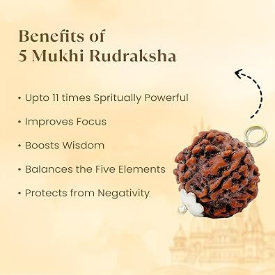 Thumbnail: Vrindavan Handicrafts - 5 Mukhi Rudraksha Bracelet