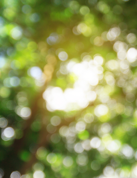 Untitled design (3).png