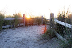 IMG_9441.jpeg