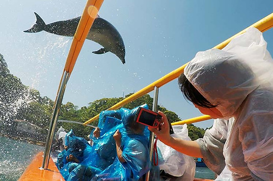 伊豆の見どころ 伊東 伊豆高原の不動産 さつき不動産 伊豆の見どころ 伊東 伊豆高原の不動産 さつき不動産