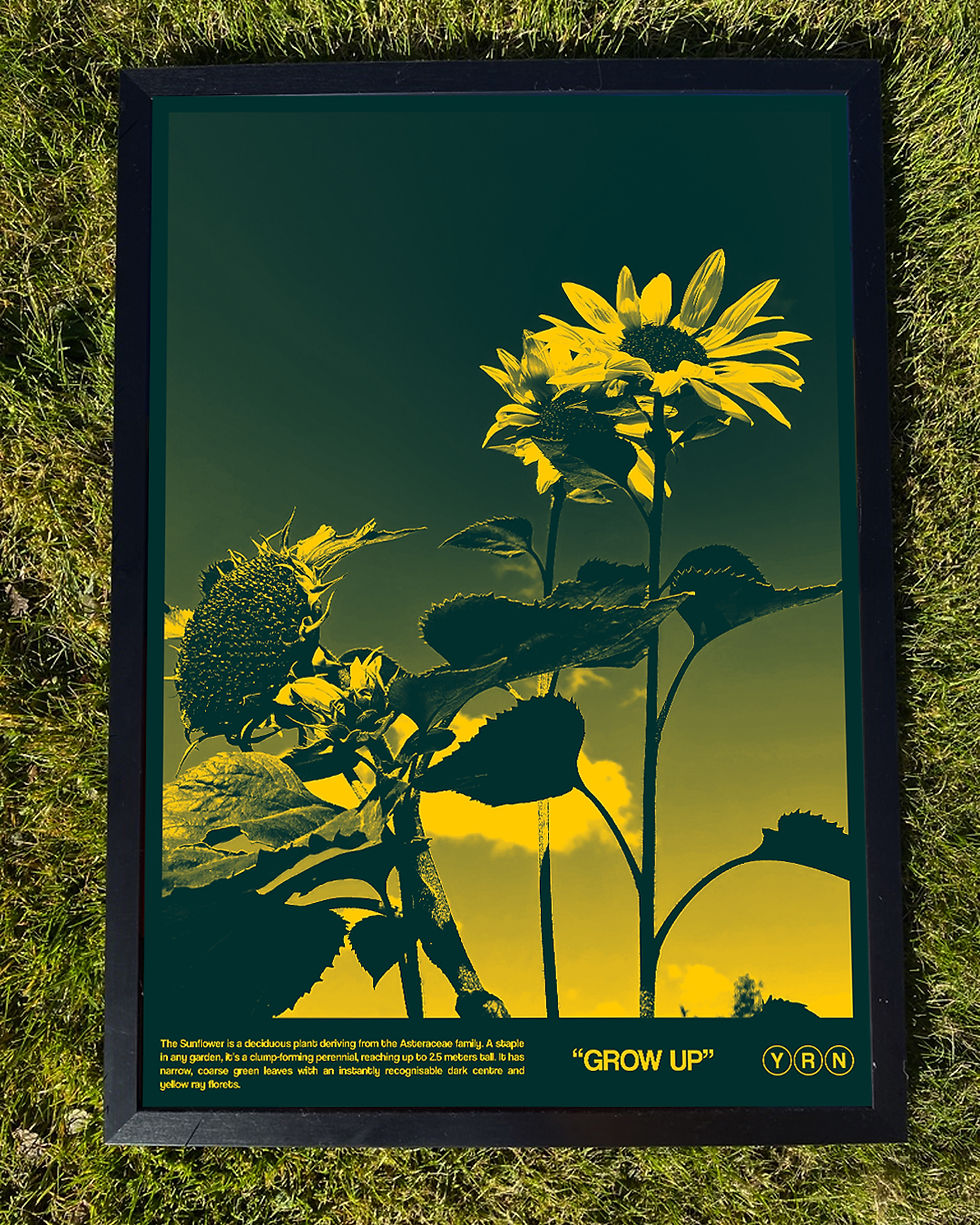 Thumbnail: "Grow Up" Sunflower Poster