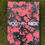 Thumbnail: "Grow Up" Y.R.N Poster