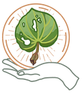 Haerenga Hauora - Your Health and Wellness clinic in Whangārei