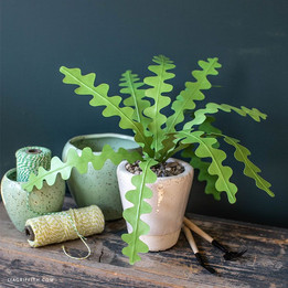paper-zig-zag-cactus.jpeg