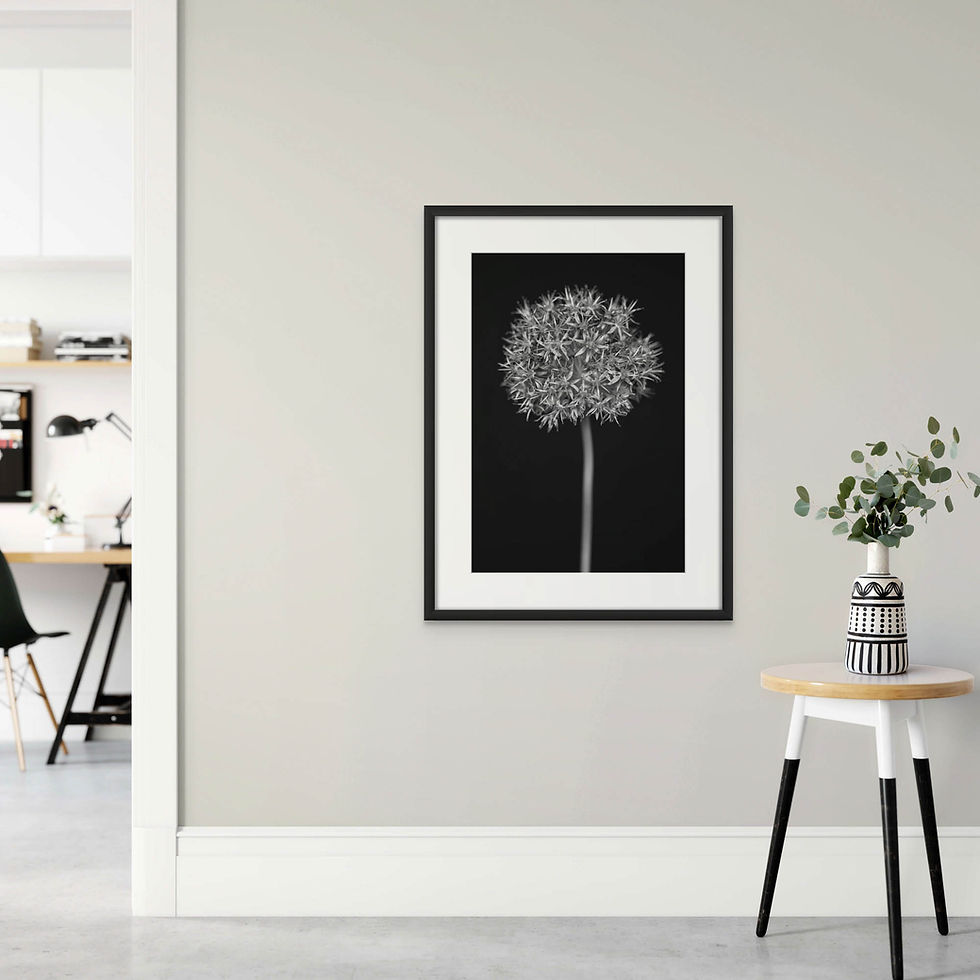 Thumbnail: Botanical Studies - The B-Sides - No. 15