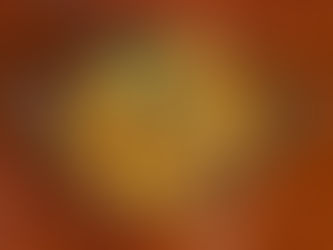 Looking for a vegetarian restaurant in Avalon Beach? Discover fresh, flavourful Indian vegetarian dishes at Masala Cove.