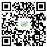 donna bella final(5).png