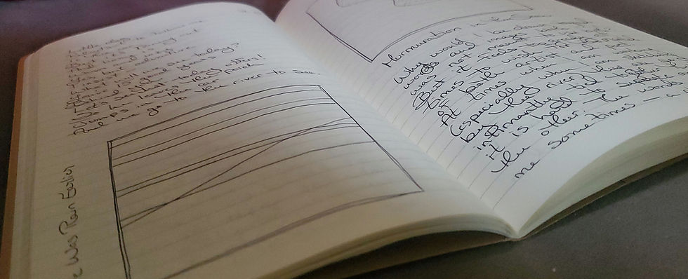 Words and Images in Translation