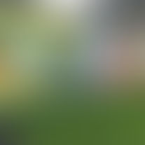 An artistic stroll around Gorey nó i nGaeilge
Siúlóid ealaíonta timpeall Guaire