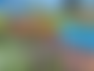 Last of the autumn walks in Courtown 2024
Siulóidí deireanacha an Fhomhair i mBaile na Cúirte 