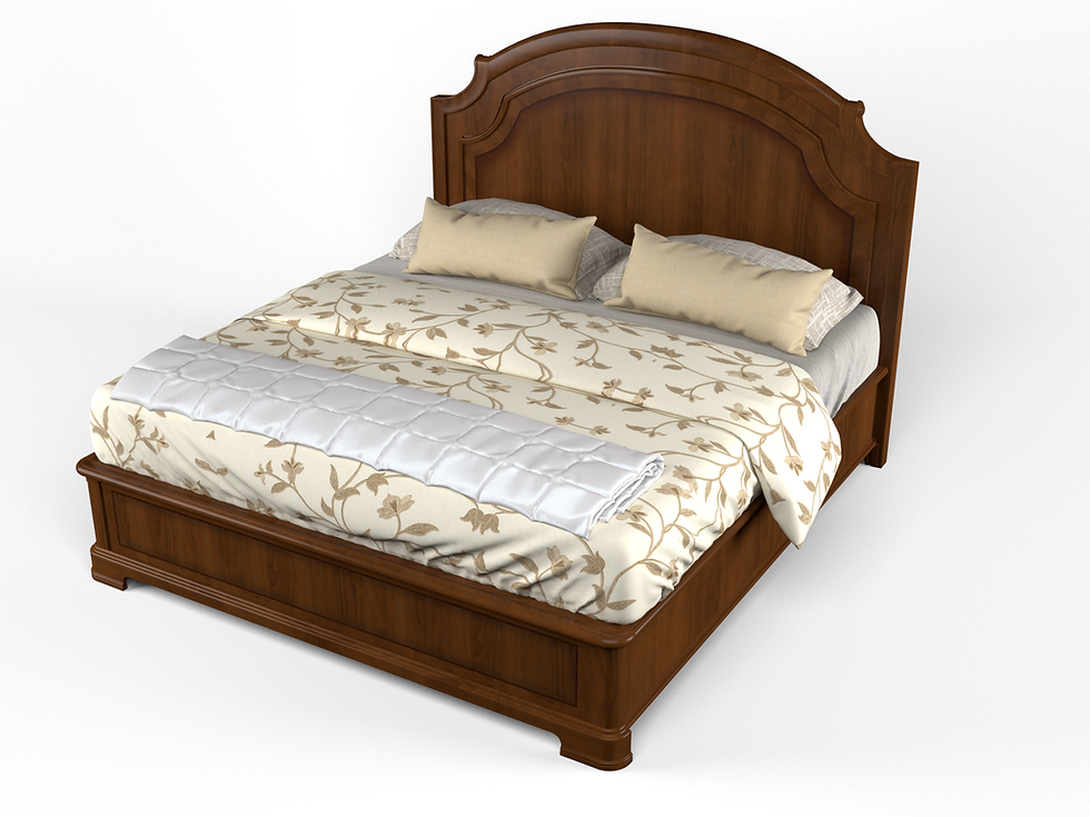 Thumbnail: Evolution Bed