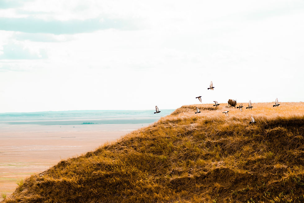 South_Dakota_26.jpg