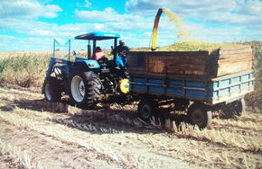 Governo de Israel cria fazenda-modelo no Ceará para ajudar na produção de agricultores locais