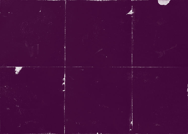 pruple white background.jpg