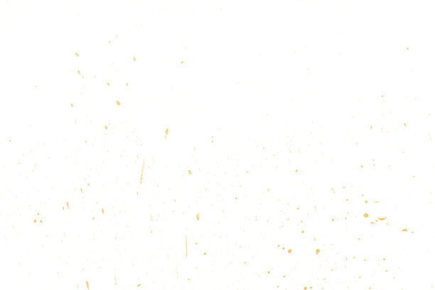 white with yellow section background.jpg