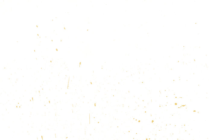 white with yellow section background.jpg