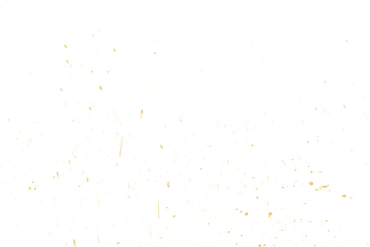 white with yellow section background.jpg