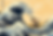 oldirdy_illustration_in_the_style_of_The_Great_Wave_off_Kanagaw_e5eacbf4-9352-481d-86d5-57