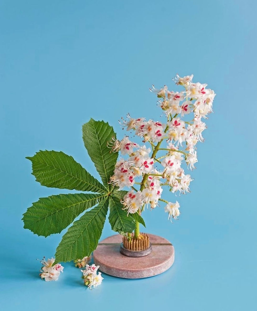 Миниатюра: Японский Кензан 4 cm