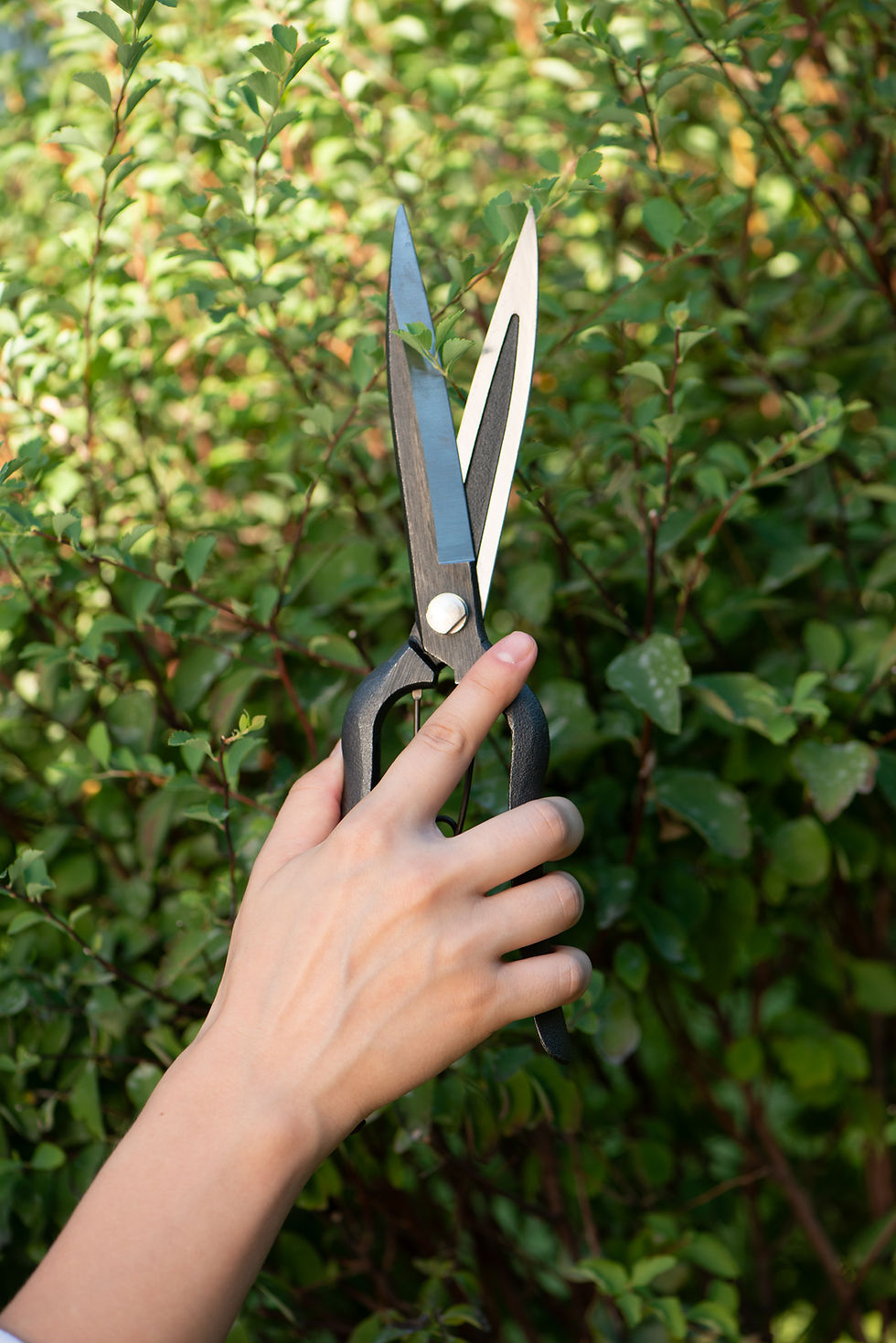 Миниатюра: Японские ножницы для топиарной  стрижки  270 мм