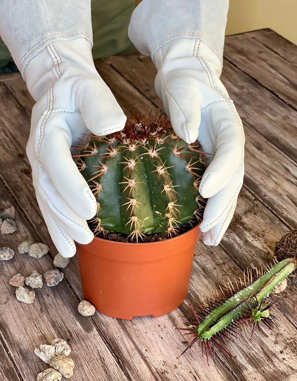 Миниатюра: Кожаные садовые перчатки, размер S, M, L