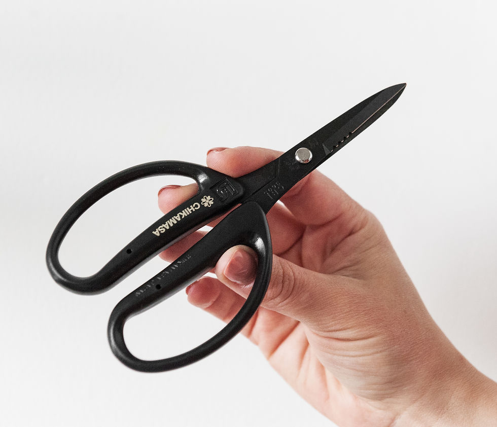 Thumbnail: Chikamasa Scissors for flower arrangement, gardening and craft works