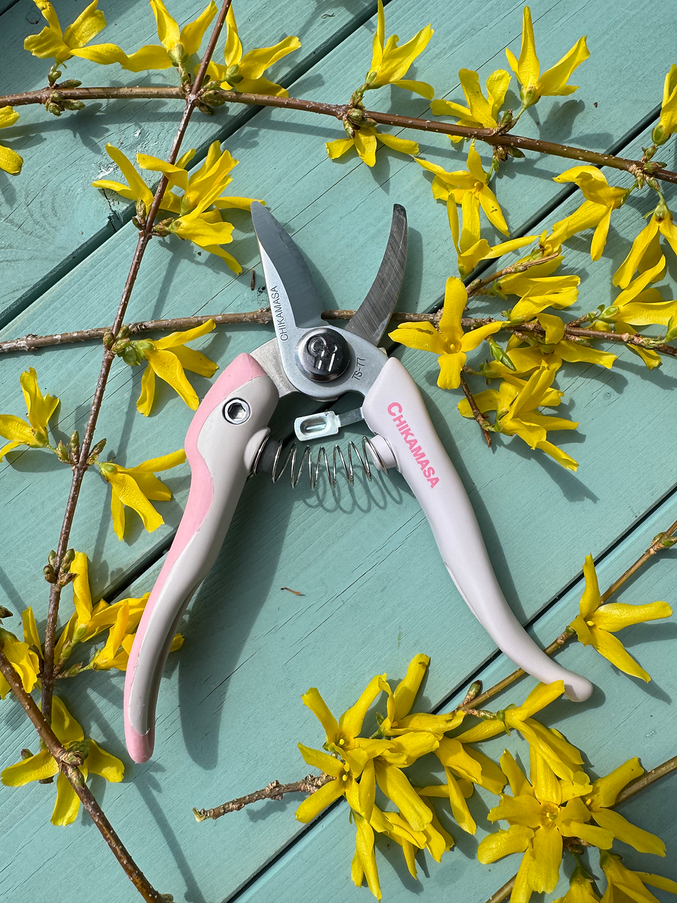 Миниатюра: Секатор Chikamasa TS-77EXP