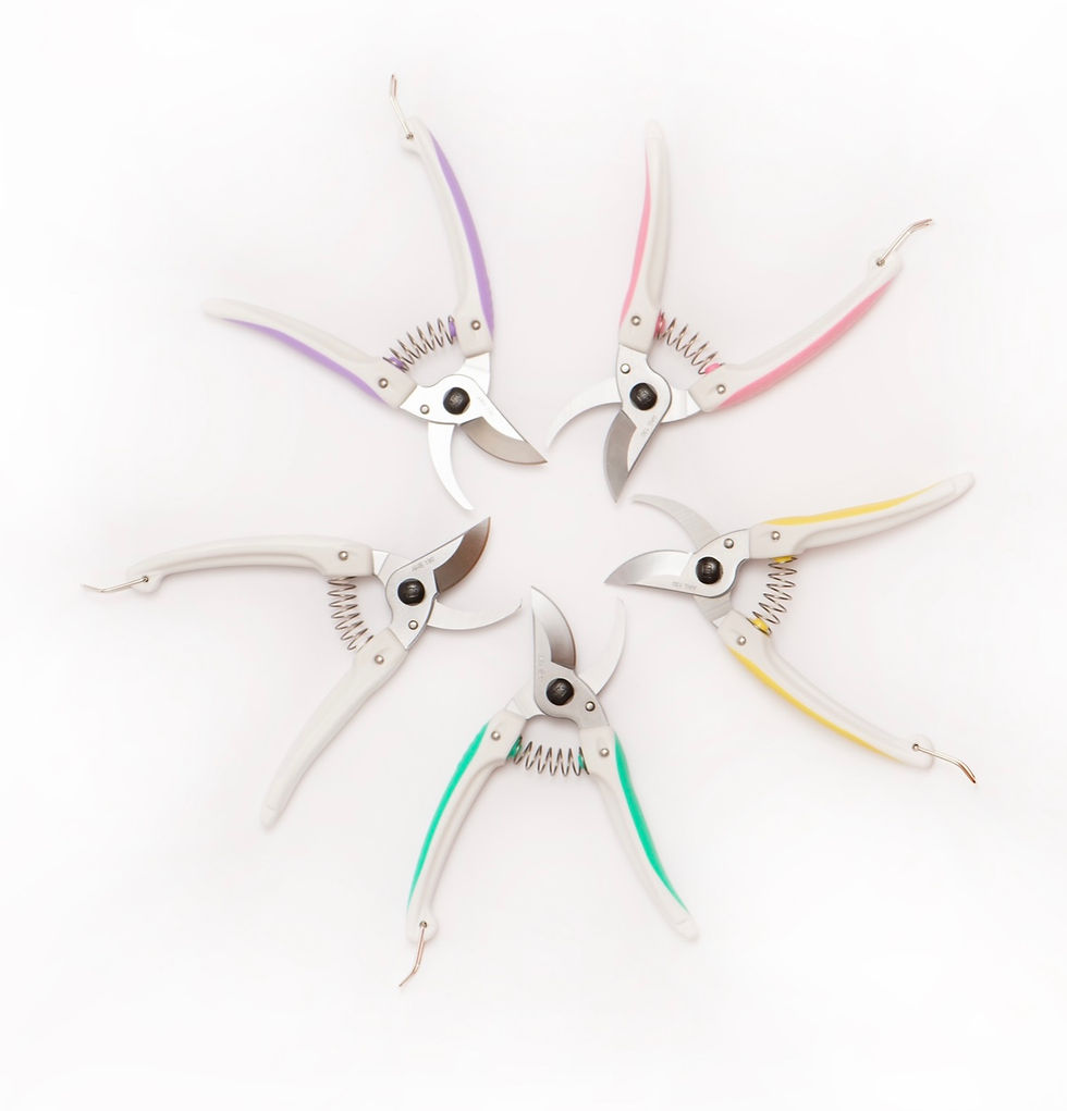 Миниатюра: Cекатор ARS (130DX-G)  Lavender