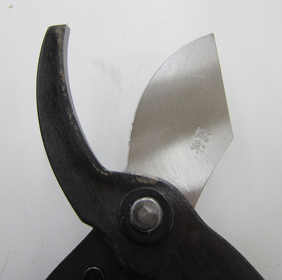 Thumbnail: Kanenori Hedge shear for thick branches A-12