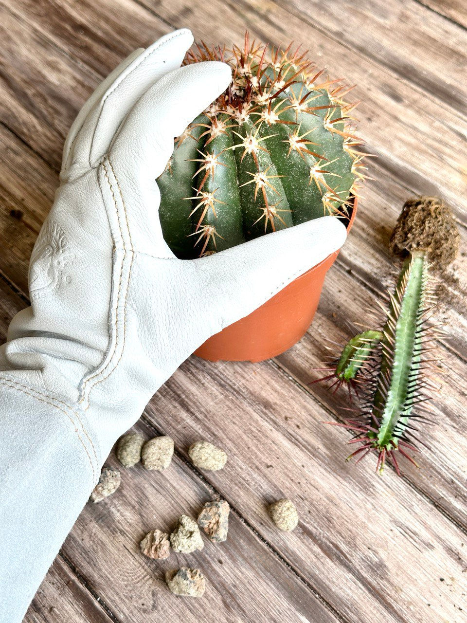 Миниатюра: Кожаные садовые перчатки, размер S, M, L