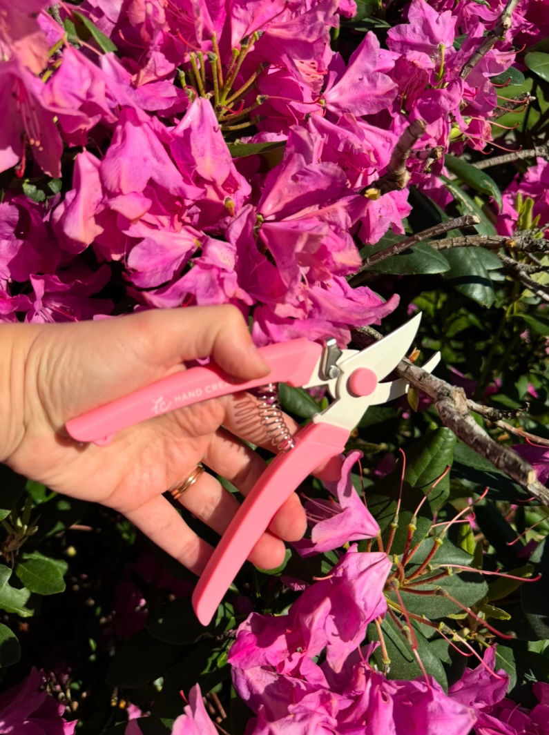 Миниатюра: Секатор Sakagen - Розовый