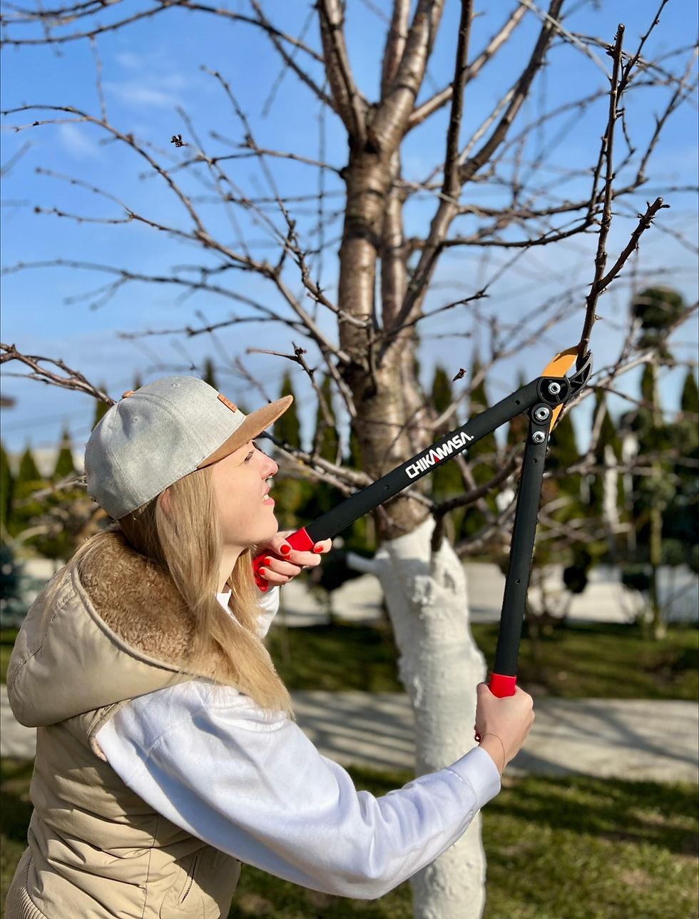 Миниатюра: Сучкорезы Chikamasa  LP-650