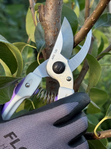 Японський секатор ARS 130DX Lavender у подарунковій коробці
