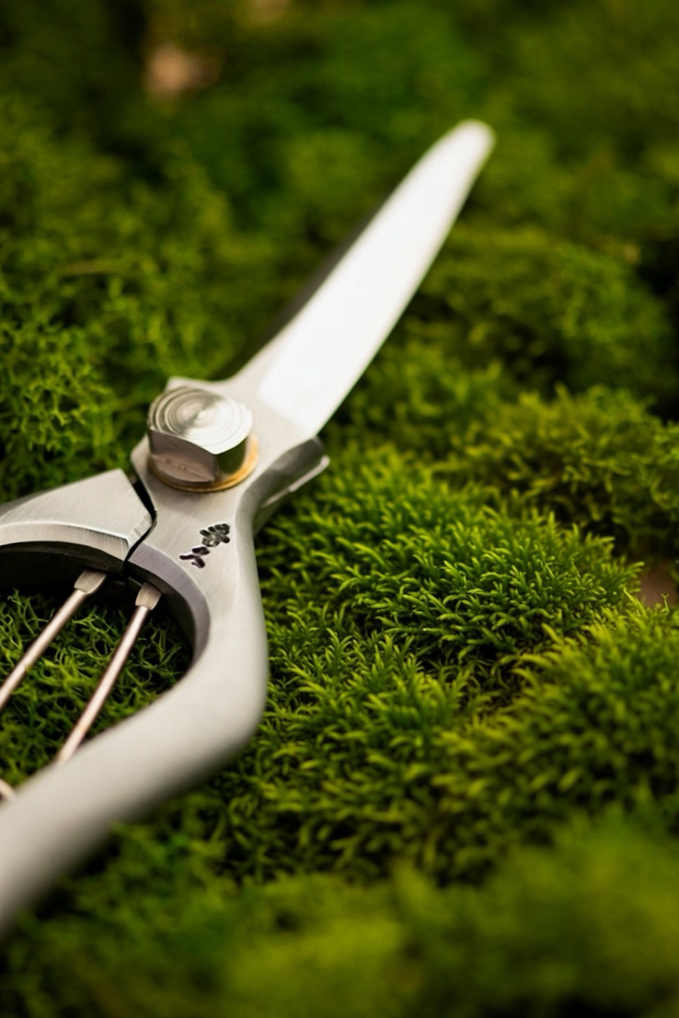 Миниатюра: Снипсы Toyama Hamono T-517 нержавеющая сталь