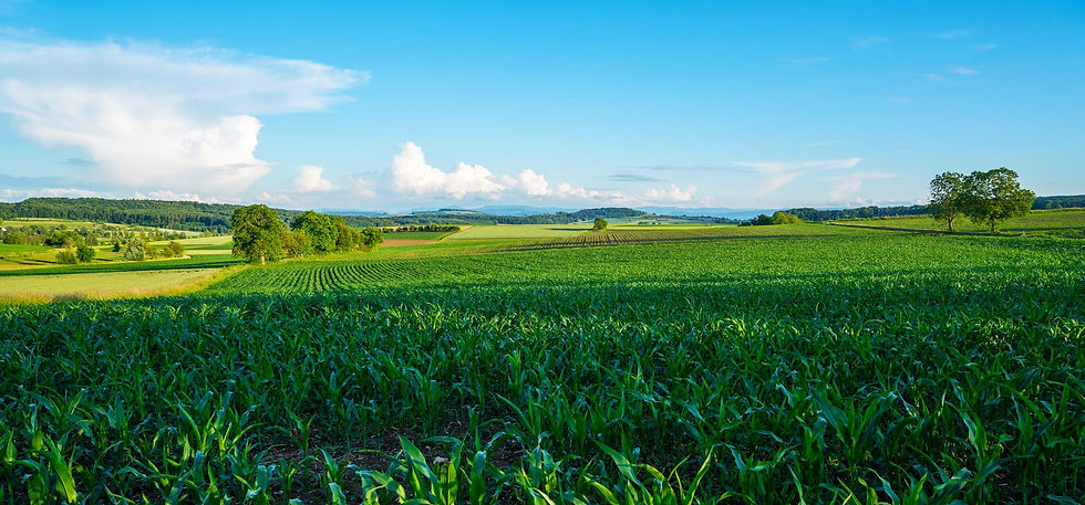 AdobeStock_390341742.jpg