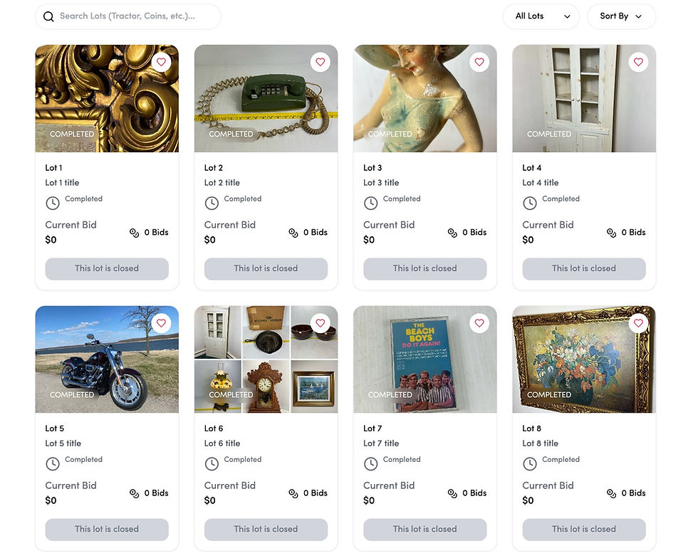 OnlineOnlyFrontMultipleLots 1.jpg
