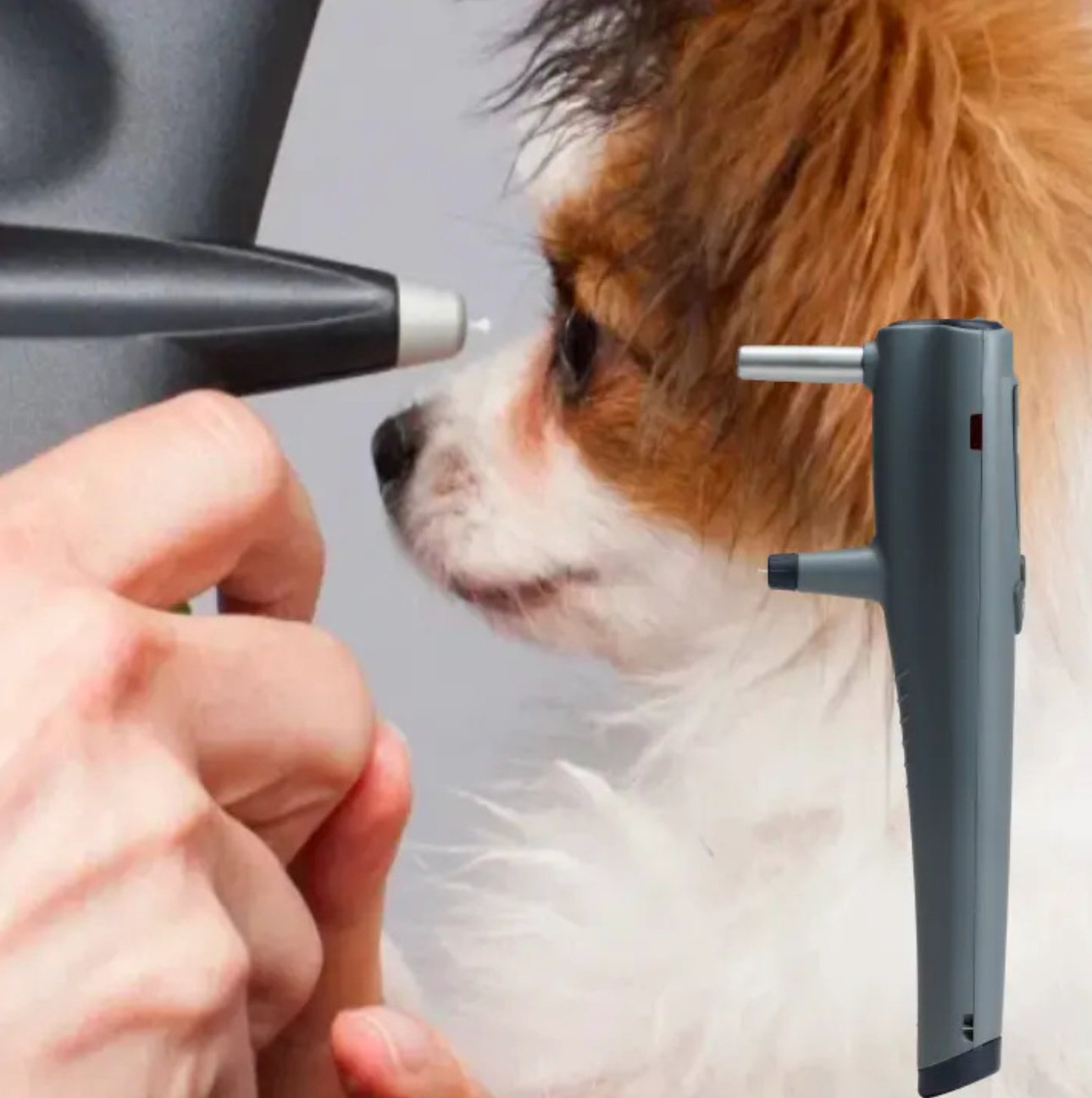 RT100 Handheld Rebound Tonometer | Vet Trade