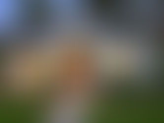 5 Reasons You Should Have Your Home Inspected Before Purchasing in Nashville, TN.