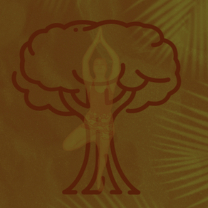  Vrkshasana : la posture de l'arbre