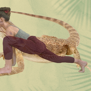 Utthan Pristhasana, la posture de lézard