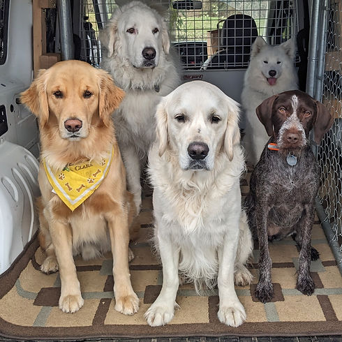 Pack van photo_2023.02.14.jpeg