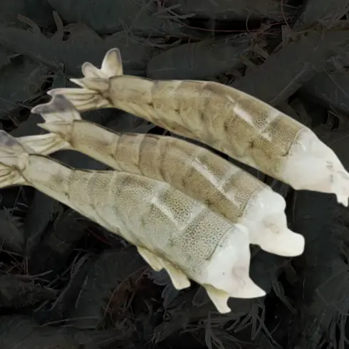 Raw Headless Shell On (HLSO)