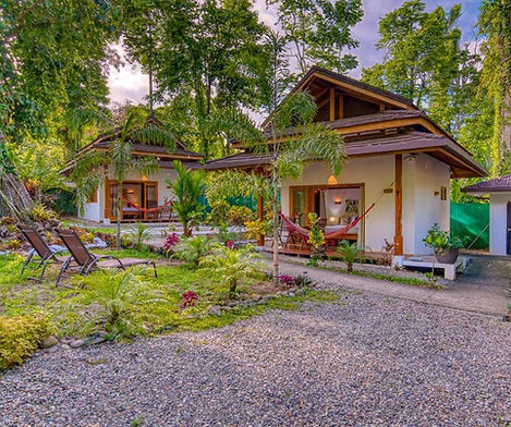 Cocles Stunning Compound 