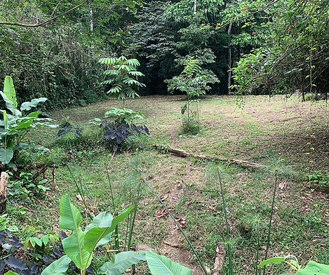 Beachside Co-op Lot with Creek